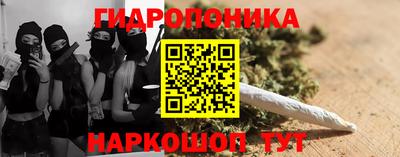 спиды Новозыбков